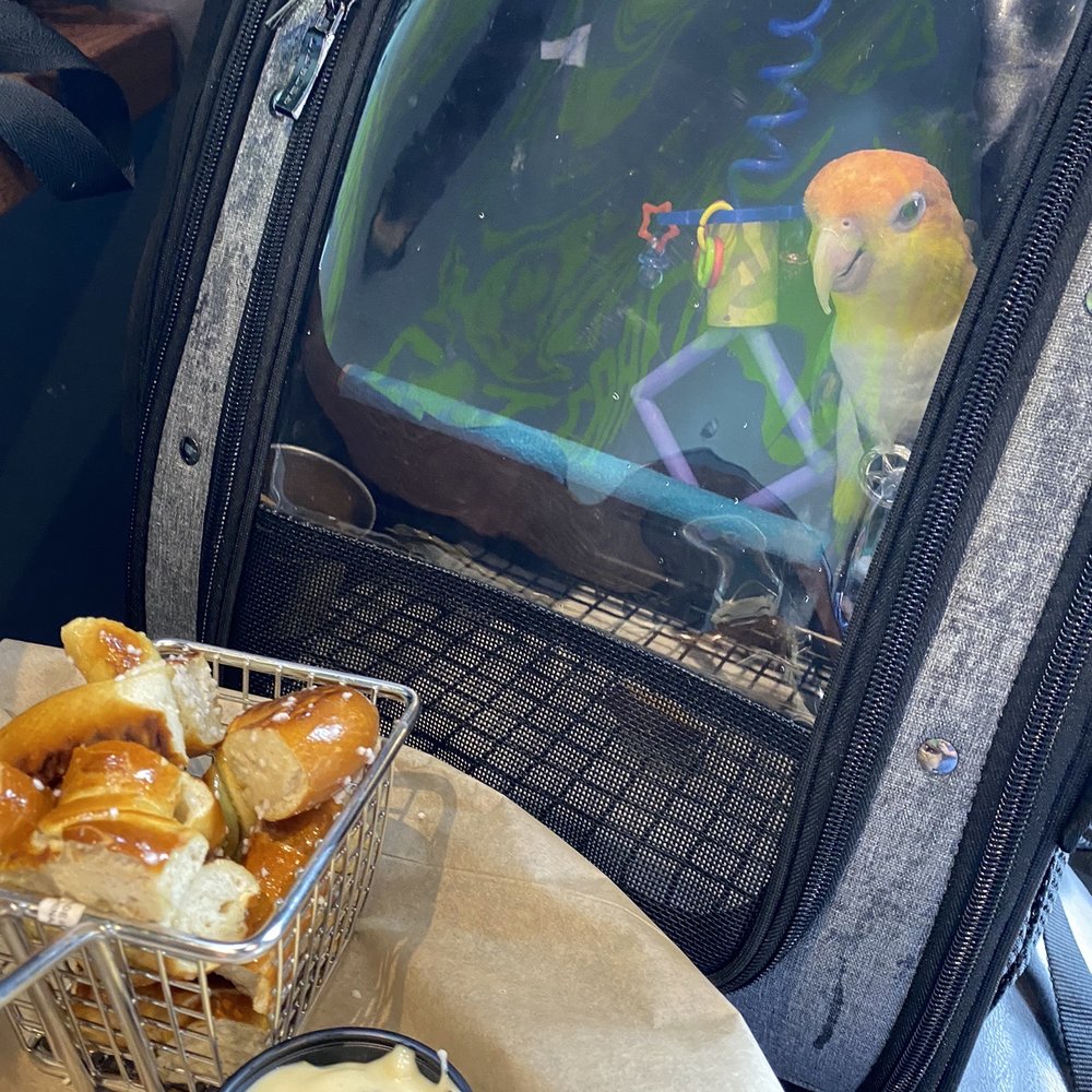 The Brass Tap - Pretzel Bites and Queso  Instagram: @PolloTheCaique - Gastropubs Near Me - Rockwall, Texas