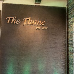 The Flume - The Flume