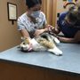 Photo of Healdsburg Veterinary Hospital