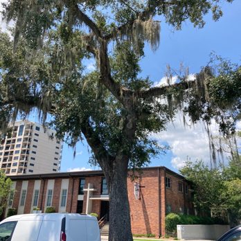 St John's Episcopal Church - Churches Near Me - Tallahassee, Florida St John's Episcopal Church - Churches Near Me - Tallahassee, Florida