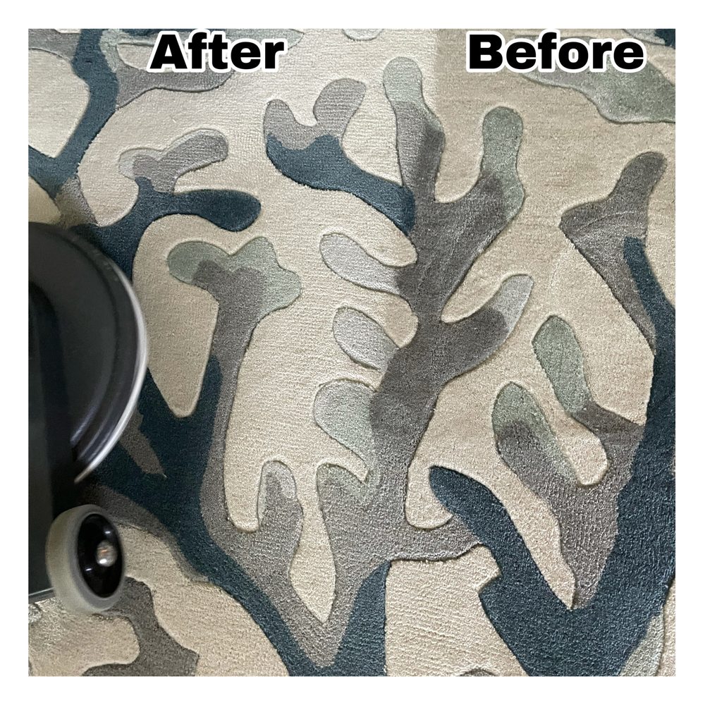 HEAVEN’S BEST CARPET CLEANING Updated June 2024 37 Photos St