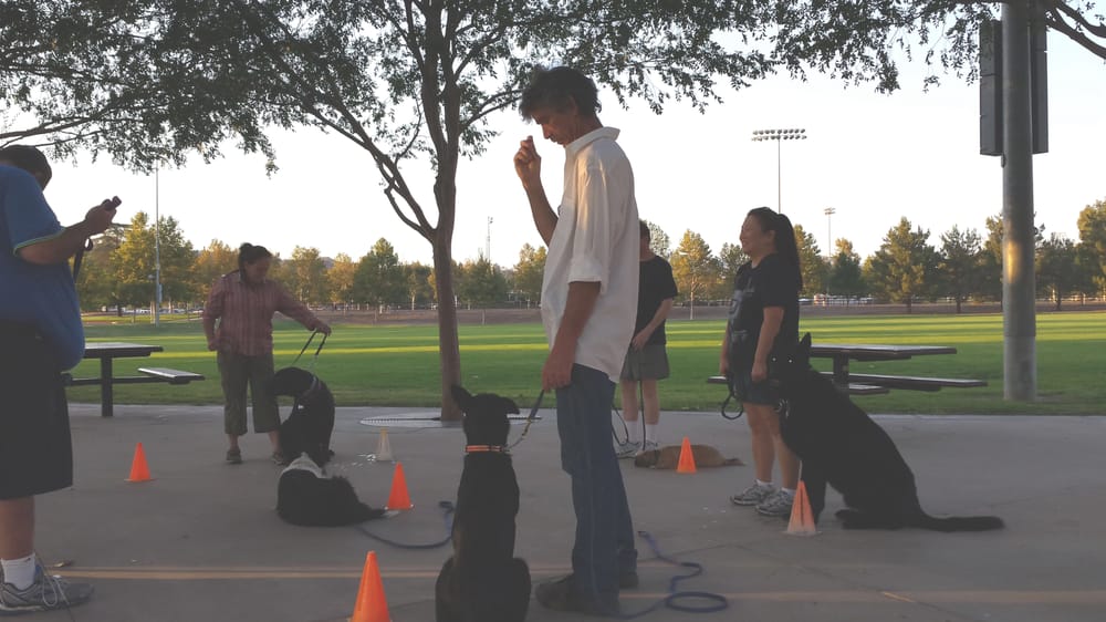 BROKEN ARROW DOG TRAINING Updated September 2024 Lancaster