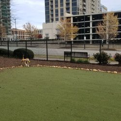Atlantic Station Dog Park