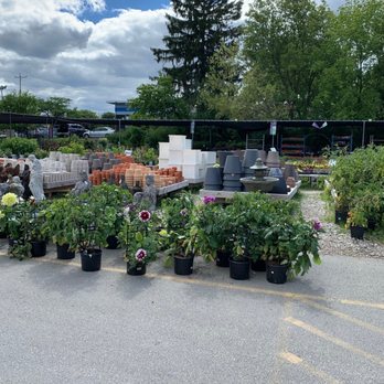 Bayside Garden Center - More selection - Nurseries & Gardening Near Me - Bayside, Wisconsin Bayside Garden Center - More selection - Nurseries & Gardening Near Me - Bayside, Wisconsin