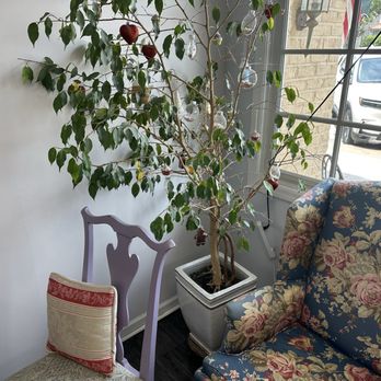 Indigo Bakery - Desserts Near Me - Georgetown, South Carolina