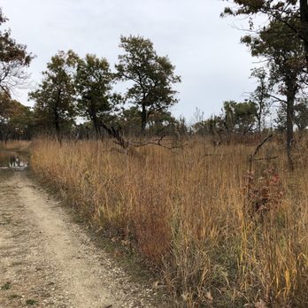 Illinois Beach State Park  - Parks Near Me - Zion, Illinois