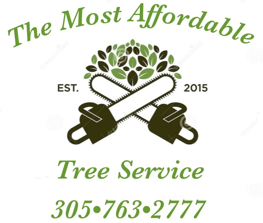 THE MOST AFFORDABLE TREE SERVICE Miami Gardens, Florida Tree Services Phone Number Yelp