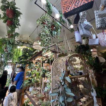 Pamana Plantas - Nurseries & Gardening Near Me - Berkeley, California Pamana Plantas - Nurseries & Gardening Near Me - Berkeley, California