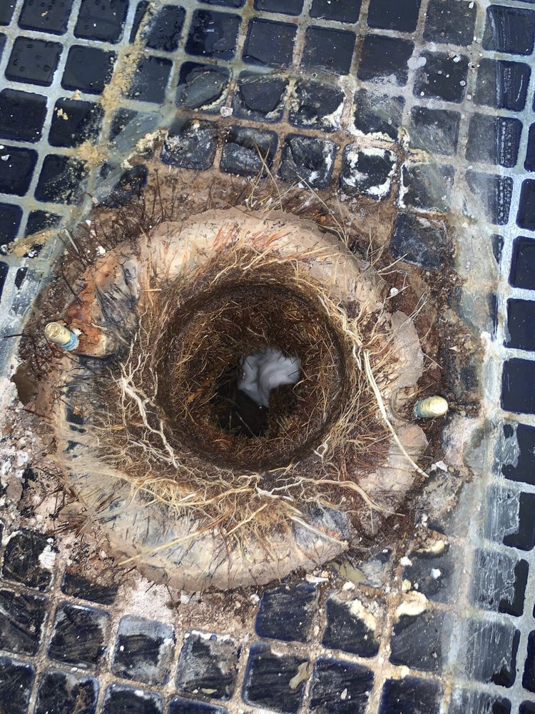 Slide of Tommy Malozi Jr Sewer Drain and Plumbing