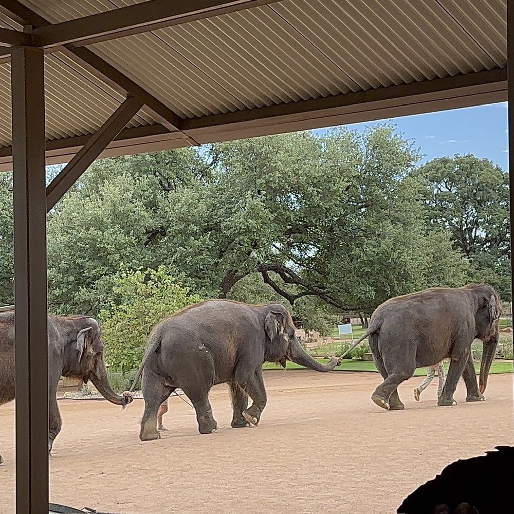 The Preserve - Zoos Near Me - Fredericksburg, Texas