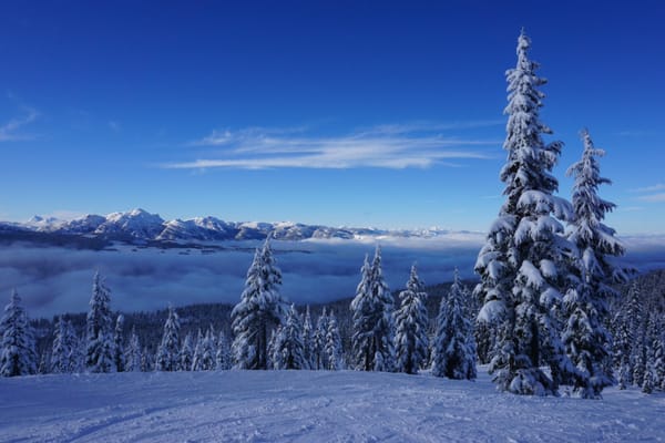 Mount Washington Alpine Resort by null