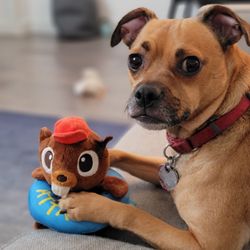Muddy Paws Rescue - "You don't want to see what happens next."