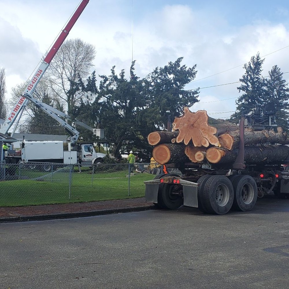 P'n'D Logging and Tree Service - Tree Services Near Me - Maple Valley, Washington P'n'D Logging and Tree Service - Tree Services Near Me - Maple Valley, Washington
