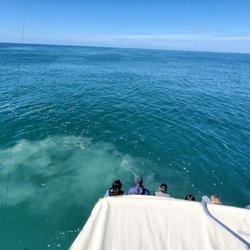 Ashes On The Sea