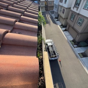 R Sparkling Solution - This is a before picture of our gutters with weeds growing out of them - Window Washing Near Me R Sparkling Solution - This is a before picture of our gutters with weeds growing out of them - Window Washing Near Me