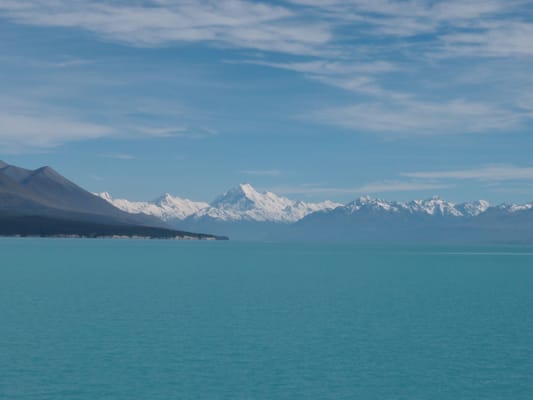Mt Cook Alpine Salmon Shop by null