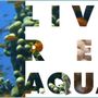 Photo of Living Reef Aquatics