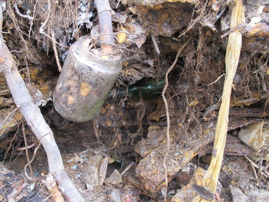 Dead Horse Bay by null