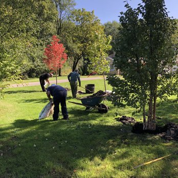 Escazu Nursery - Nurseries & Gardening Near Me - Lake Zurich, Illinois
