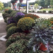 DZEN GARDEN MARKET - 31 Photos & 20 Reviews - Fruits & Veggies - 187 ...