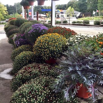 Dzen Garden Market - Fruits & Veggies Near Me - Ellington, Connecticut