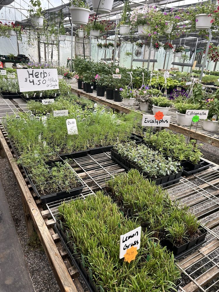 Abundant Life Greenhouse Logo