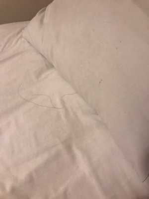 Boston Universal Stanley Hotel & Hostel Boutique by null