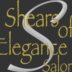 Shears of Elegance Salon - Logo