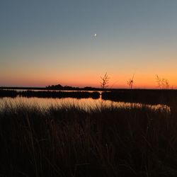Coastal Kayak Touring Company