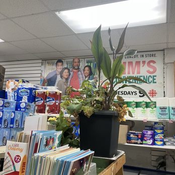 Kim's Convenience - Inside - Convenience Stores Near Me - Toronto, Ontario Kim's Convenience - Inside - Convenience Stores Near Me - Toronto, Ontario