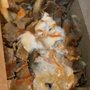 Photo of Hashtag Donair