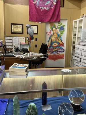 The Astrology Store by null