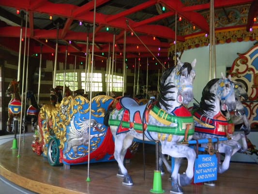Central Park Carousel by null