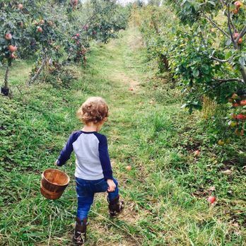 Skipley Farm - Nurseries & Gardening Near Me - Snohomish, Washington