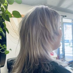 Platinum card .. lavender mullet