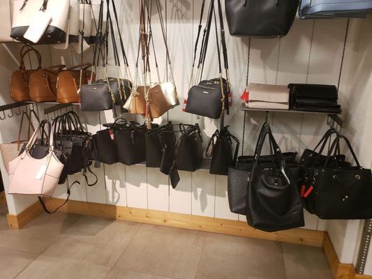 dsw powell