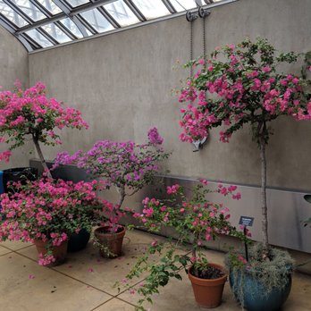 Garfield Park Conservatory - Horticulture Hall - Parks Near Me - Chicago, Illinois