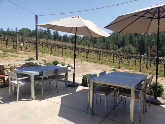 Element 79 Vineyards and Winery by null