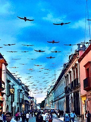 Andador Turístico by null