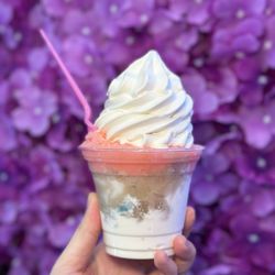 CJ's Italian Ice & Custard