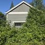 Photo of Foliage Services