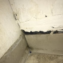 Guildford Gardens - This place is disgusting. What they are doing is not alright. And the pictures will speak for themselves. Please share this and help others!