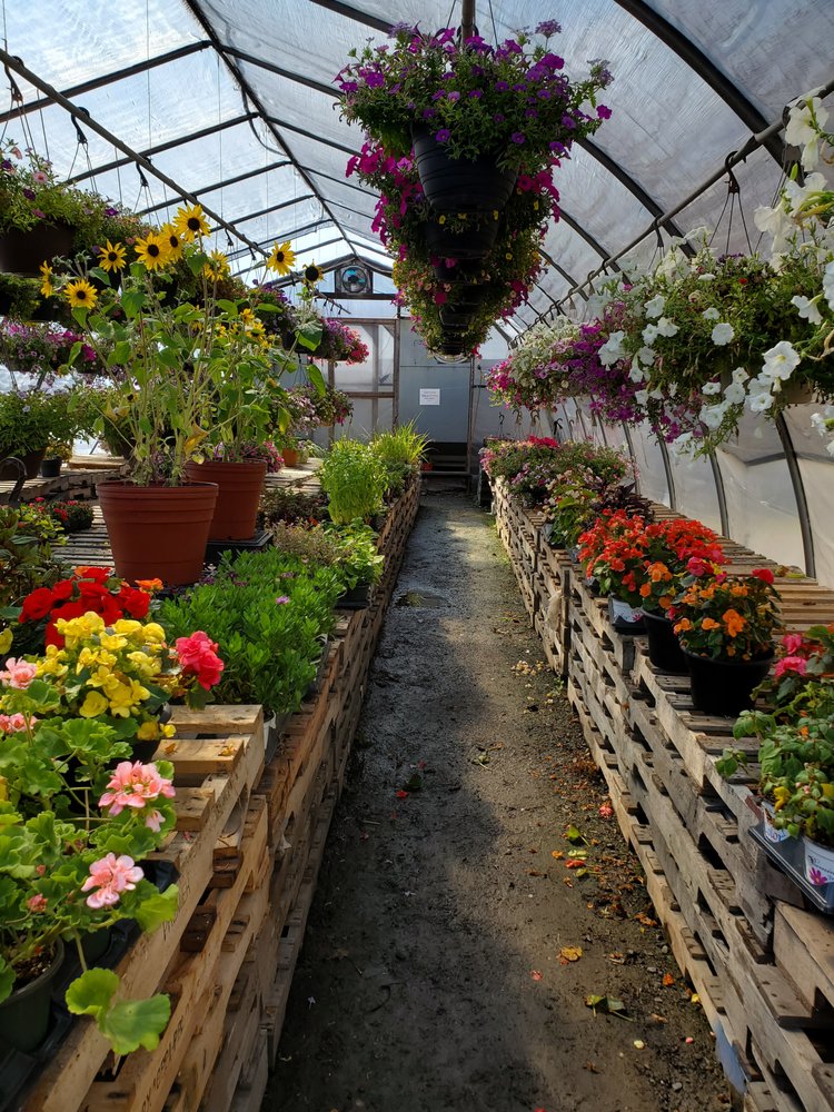 TORRISI AGWAYPRODUCE Updated September 2024 RR 6, Slate Hill, New