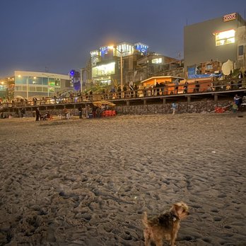 Malecon de Playas - Evening scene on the beach - Parks Near Me - Tijuana, BCN Malecon de Playas - Evening scene on the beach - Parks Near Me - Tijuana, BCN
