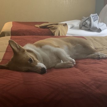 Econo Lodge - Mila found it comfortable - Hotels Near Me - Darien, Georgia Econo Lodge - Mila found it comfortable - Hotels Near Me - Darien, Georgia