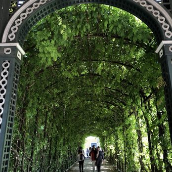 Schloss Schönbrunn - Landmarks & Historical Buildings Near Me - Vienna, 9