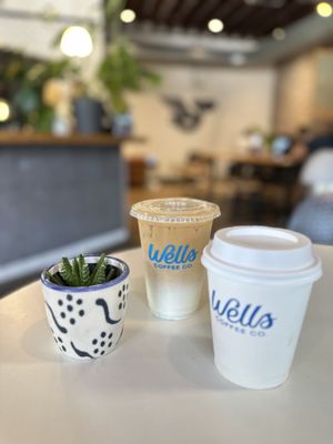 Wells Coffee Tarpon River by null