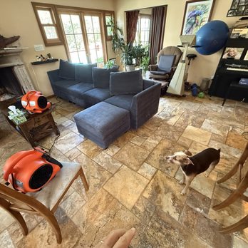 Fresh Sofa SD - Clean couch and she's ready - Carpet Cleaning Near Me Fresh Sofa SD - Clean couch and she's ready - Carpet Cleaning Near Me