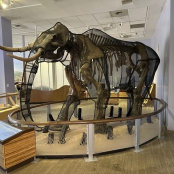 Children's Discovery Museum - Children's Museums Near Me - San Jose, California