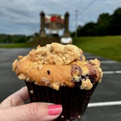 Mercier Orchards - Blueberry Muffins totally delicious .